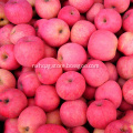 NingXia Fresh Bulk Red Fuji Apples Low Price